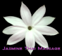 Jasmine Thai Massage (Leeds) Logo