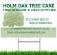 Holm Oak Tree Care