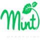 Mint Accountax Ltd - Tax & Accounting Services Logo