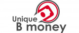 Unique B Money Logo