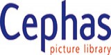 Cephas Picture Library Limited Logo