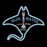 Blue Water Freediving School