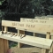 Carving to Park Benches