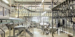 Meyn Poultry Equipment Limited