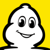 Michelin Tyre P.L.C. logo