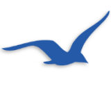 Miden Limited logo