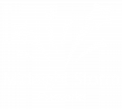 Midnight Storm