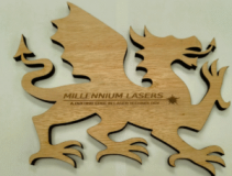 Millennium Laser Systems Limited logo