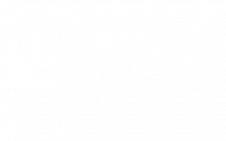 Model Farm logo