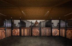 Monarch Equestrian