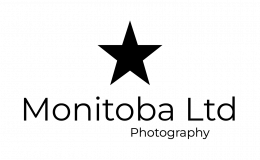 Monitoba logo