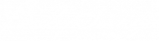 Body Image logo