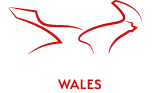 Motorcycle Training (Wales)