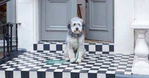 Mungo & Maud Limited