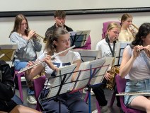 Musicale Plc