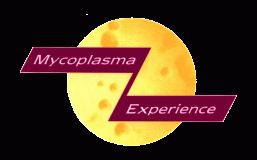 Mycoplasma Experience Limited