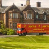 Ants