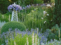 National Gardens Scheme Charitable Trust logo