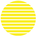 Bliss Blinds