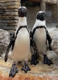 Natureland Seal Sanctuary