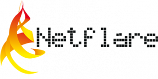 Net Flare