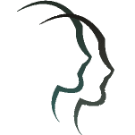 Netsource logo