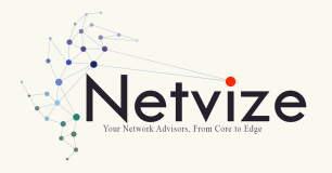Netvize logo
