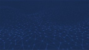 Network Fish Markets Limited