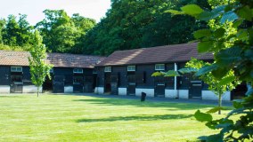 New England Stud Farm Limited
