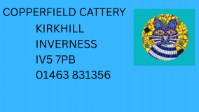 Copperfield Cattery logo