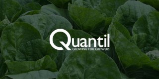 Quantil Limited