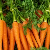 The Nutritionist