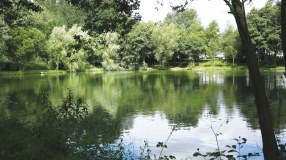 Reepham Fishery logo