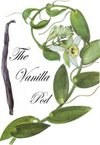 Vanilla Pod