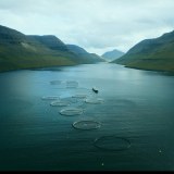 Sterner Aquatech UK
