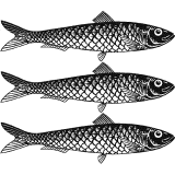 Pilchard Works