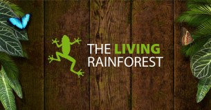 The Living Rainforest