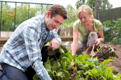 The Royal Horticultural Society