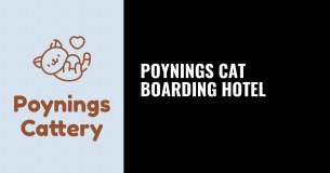 The Poynings