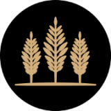 Oakwood Building Services logo