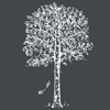 Pinewood Builders Merchants Limited