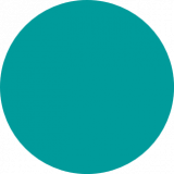 Schilltron International Limited logo
