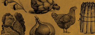 The Guild Of Food Writers