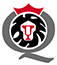 Qing Cables logo