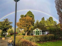 The Willow Cafe