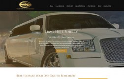 The Stretch Limo Co.