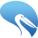 Pelican Car Hire logo