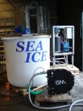Sea Ice
