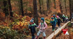 Sheffield Wildlife Trust