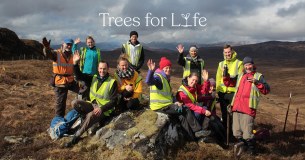 Trees For Life logo